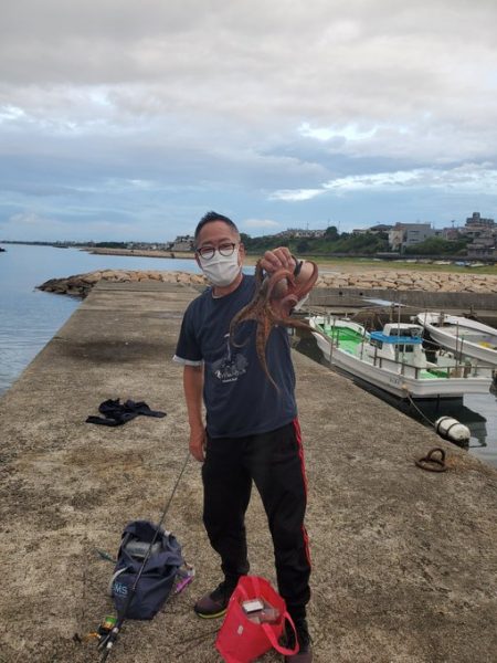 タコおったぞ！